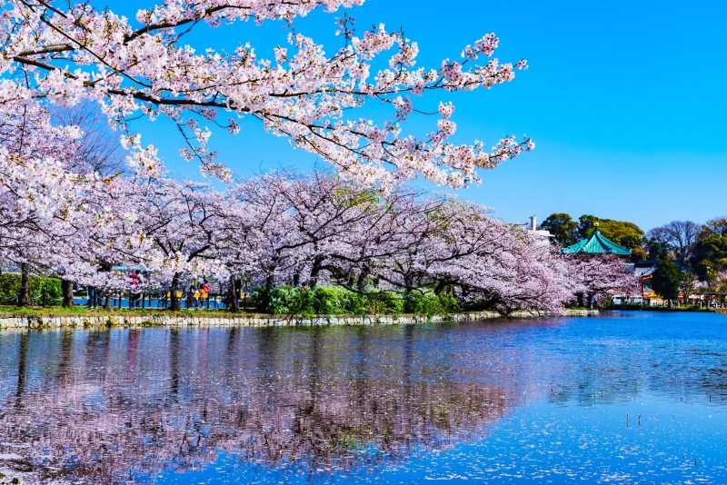 Ueno Tokyo